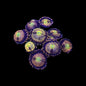 Halle Berry Zoa