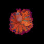Atomic Fireball Bounce Mushroom